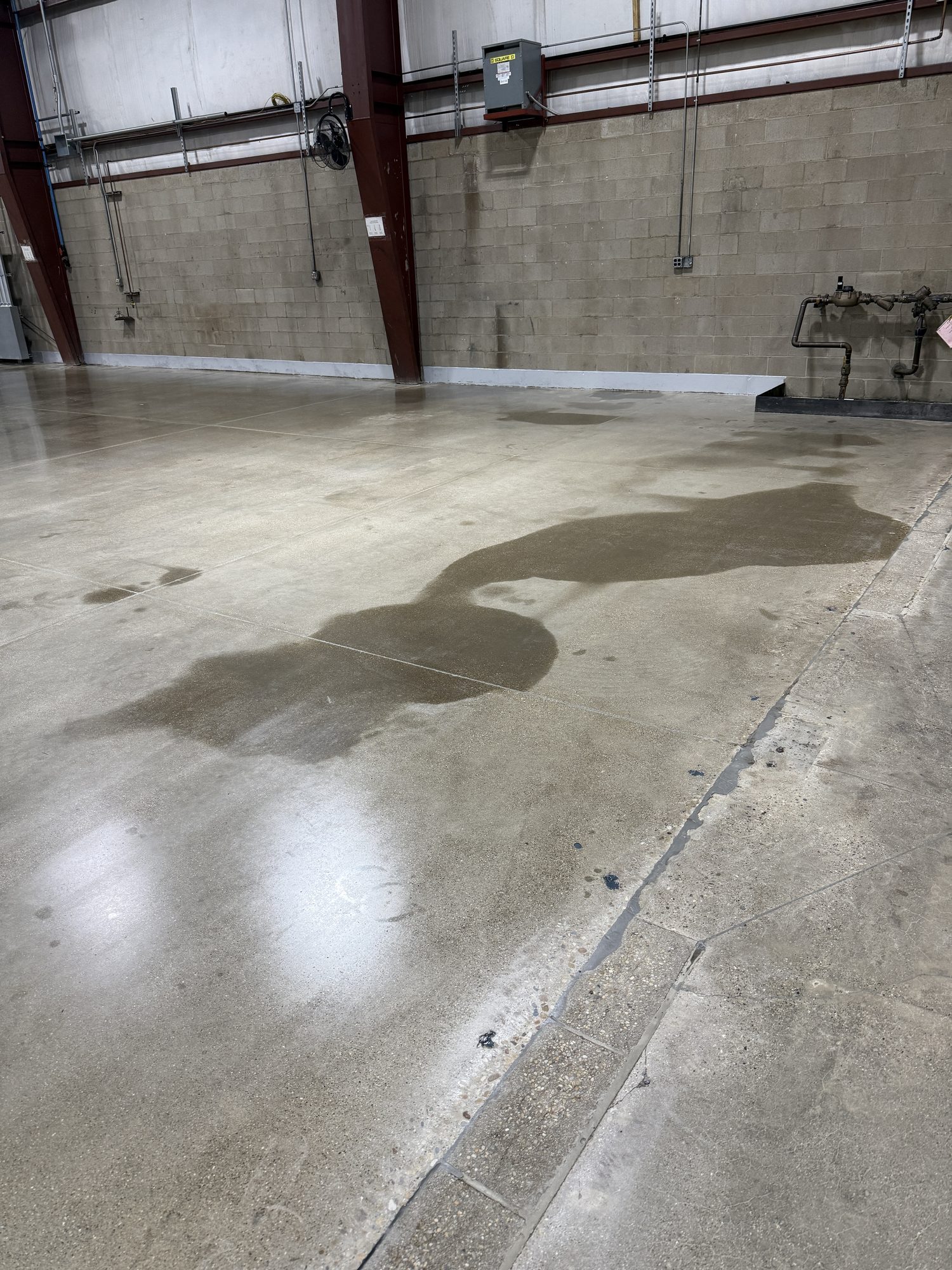 Jonathan's Polished Concrete Floor - Photo 19