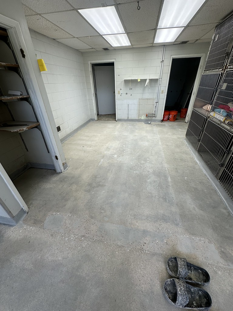 Steamboat Wish Bone Canine Animal Shelter - Photo 14