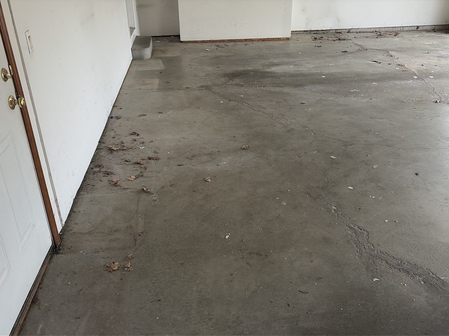 Dave's Wombat Garage Floor Coating - Before