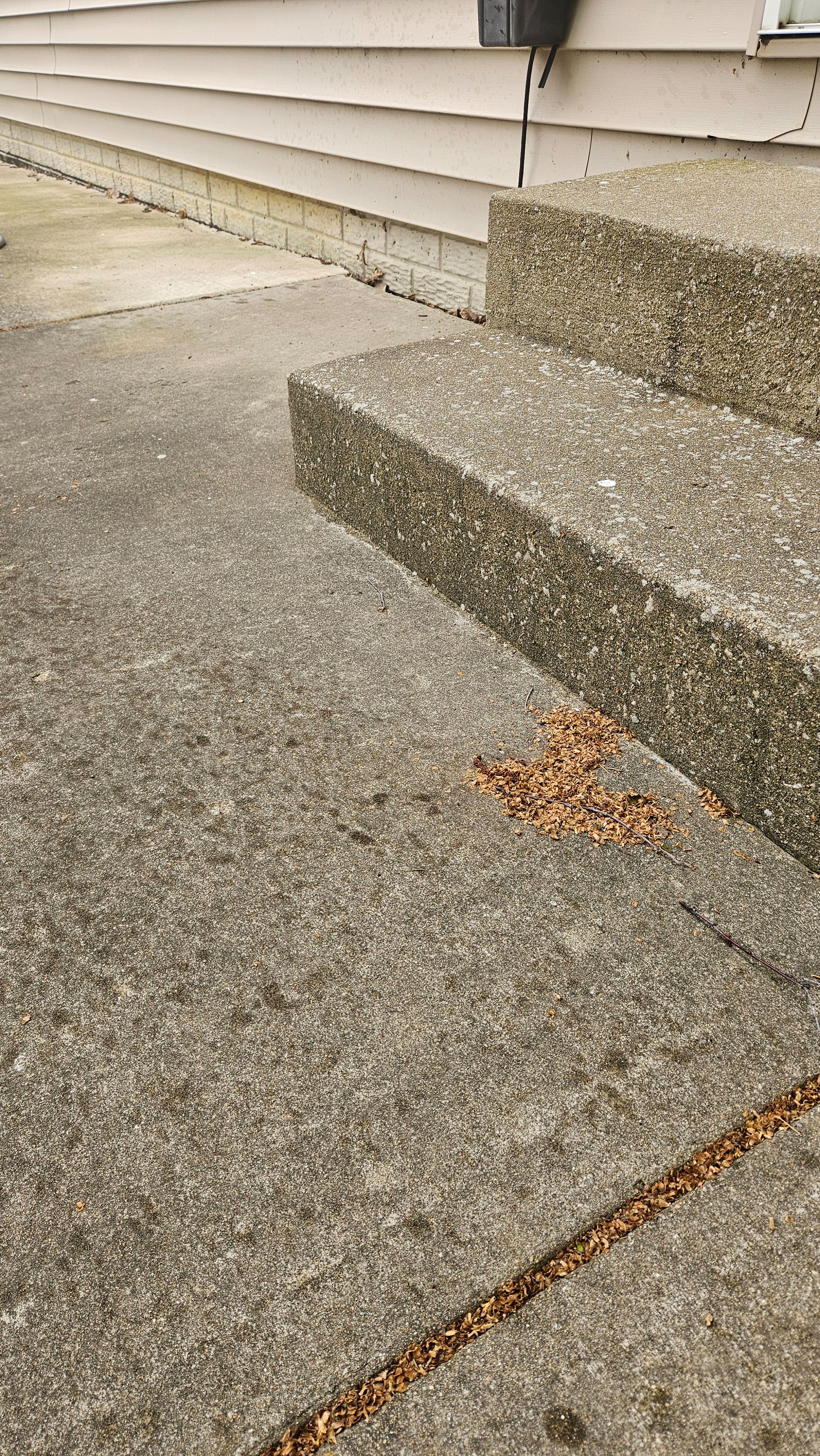 Amy's Project - Photo 13