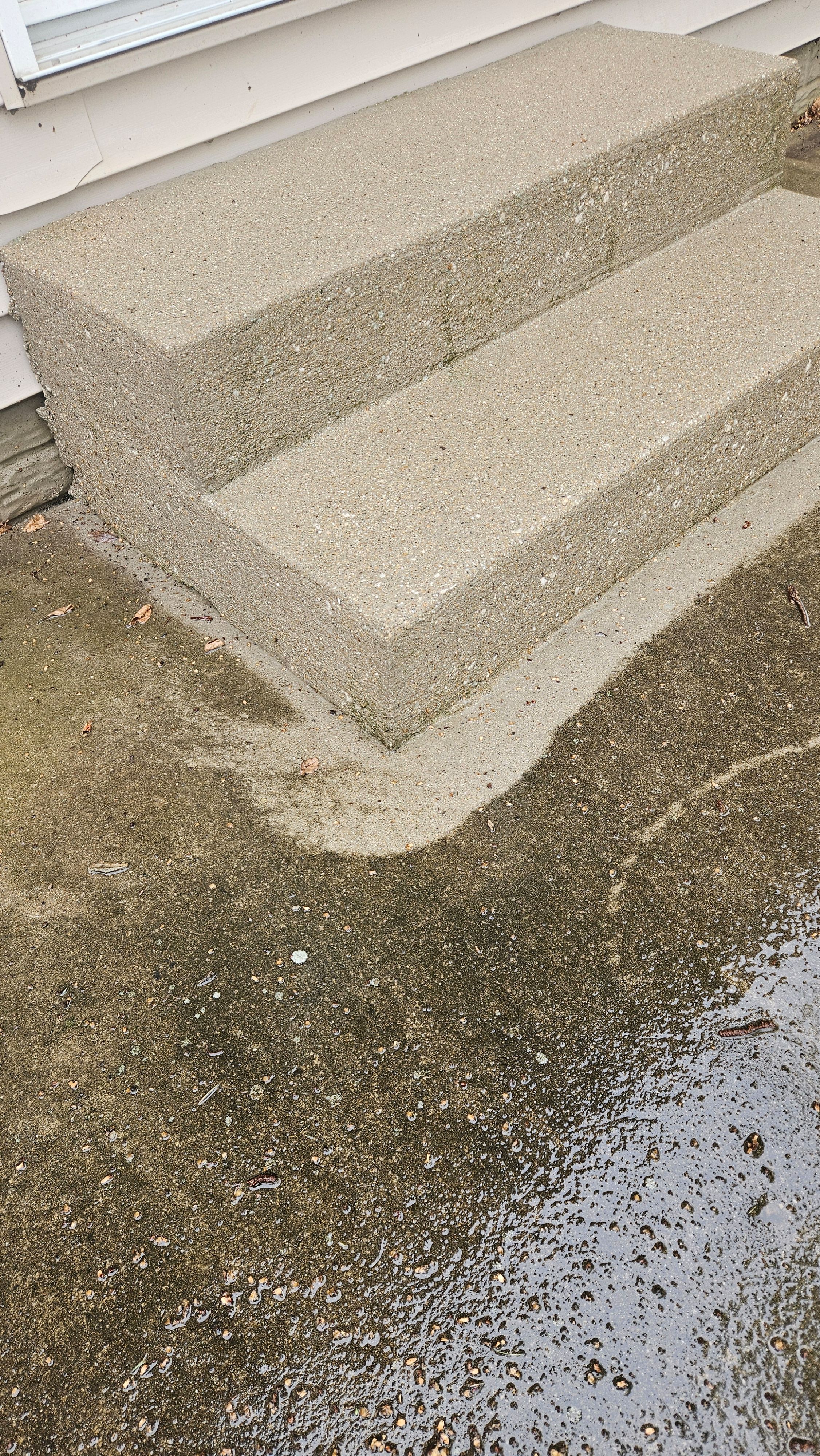 Amy's Project - Photo 9