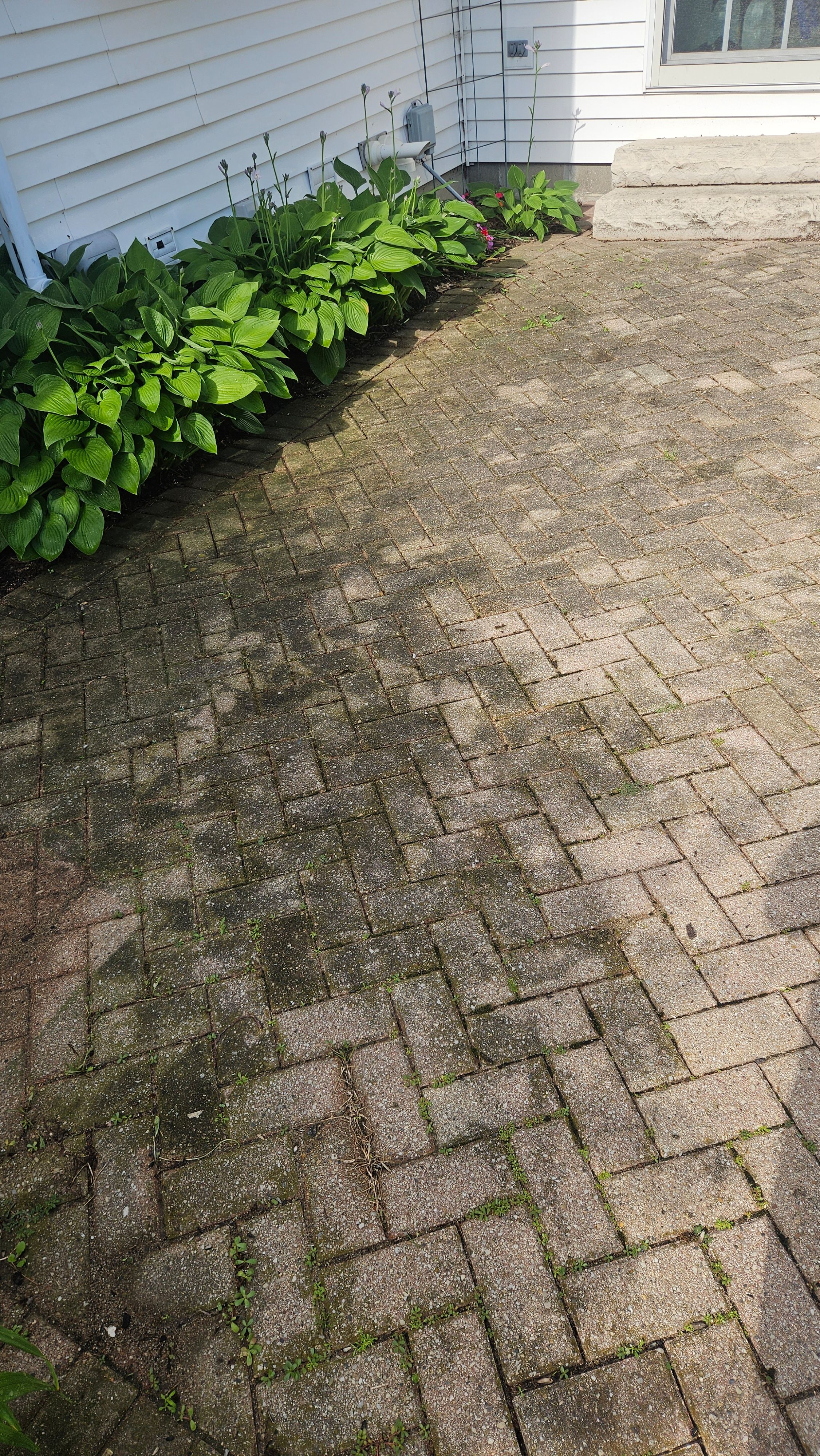 Project - Photo 10