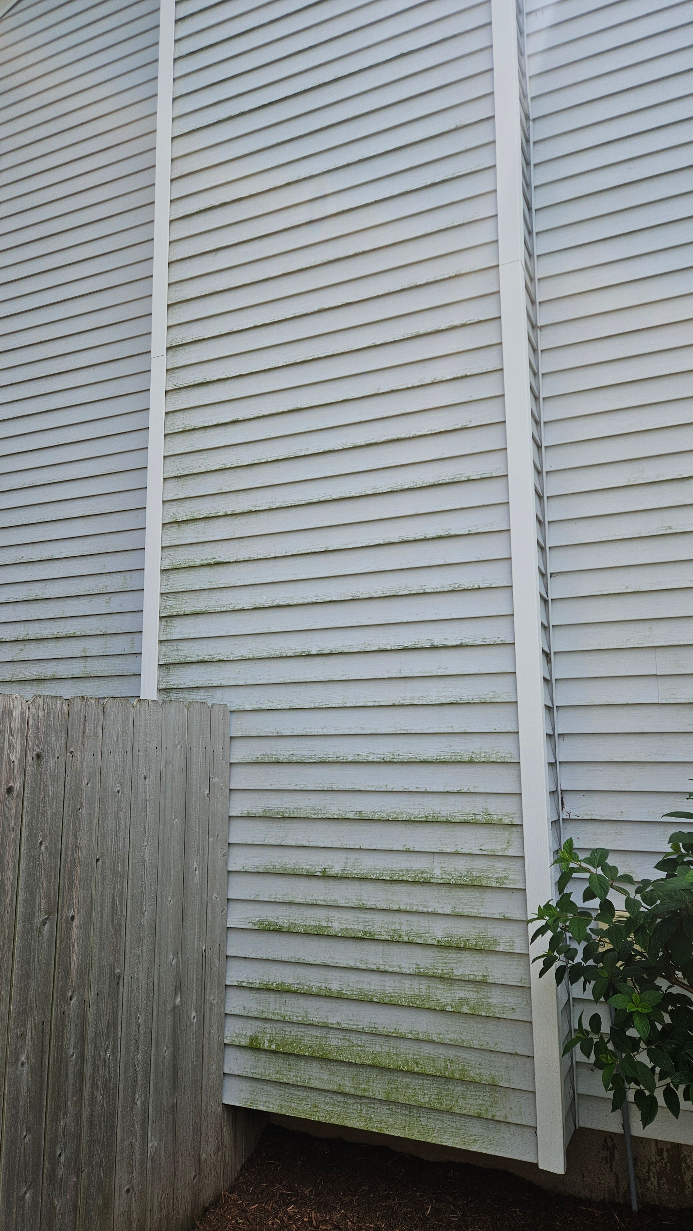 Close-up of the dirty exterior surfaces at Wendy's Bloomington home