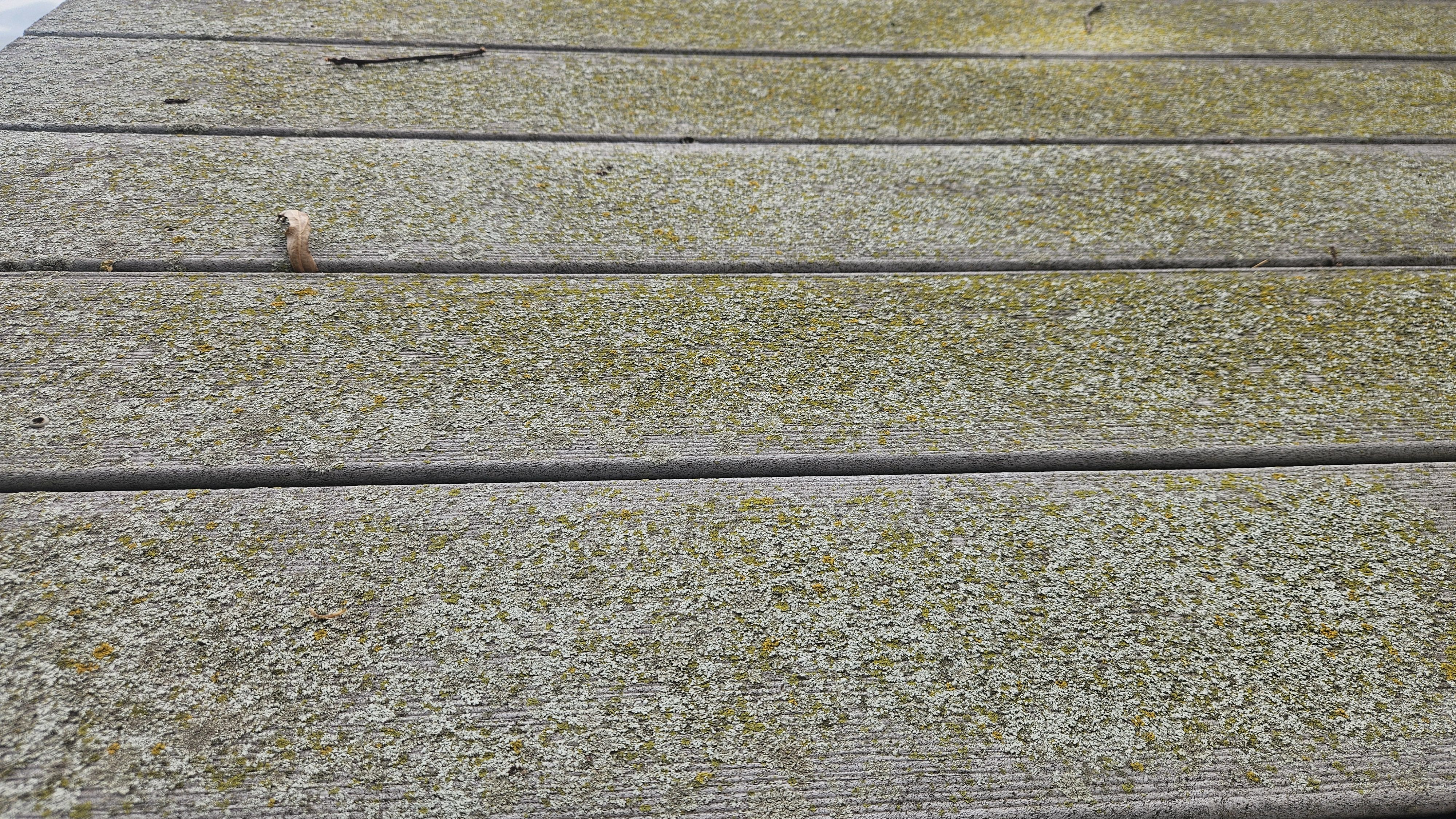 Project - Photo 11
