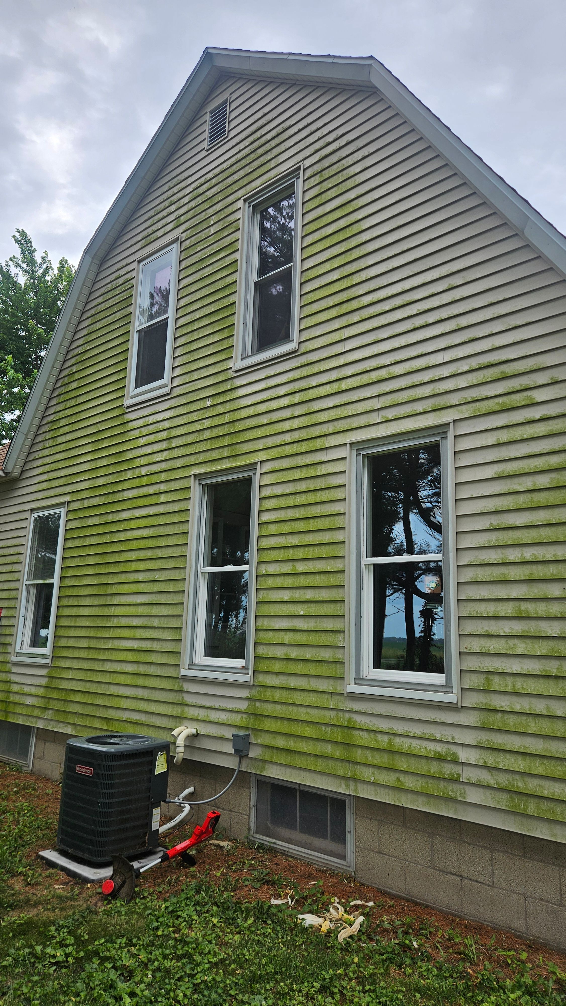 The home's exterior before cleaning, showing significant green buildup.