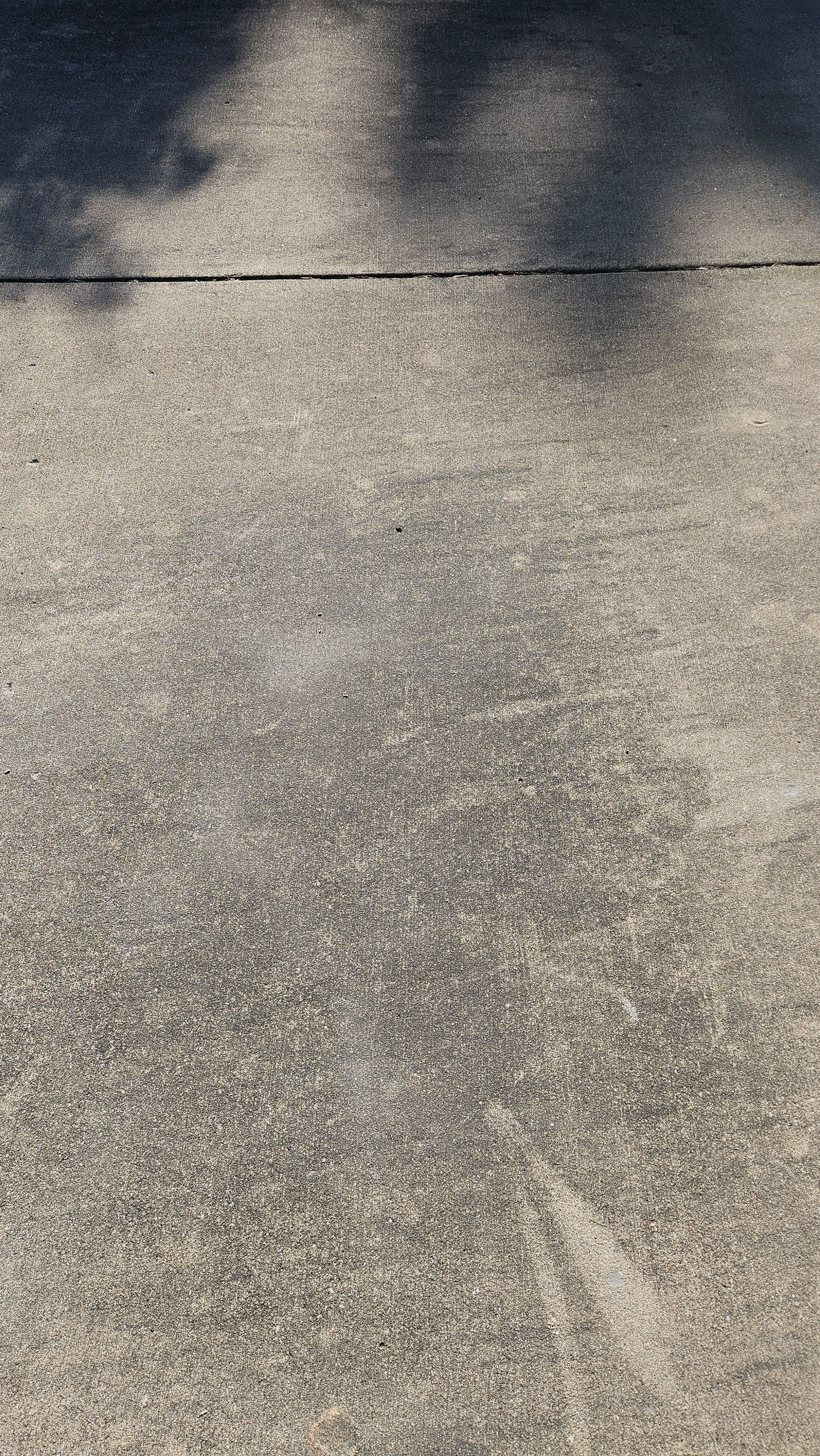 Project - Photo 9