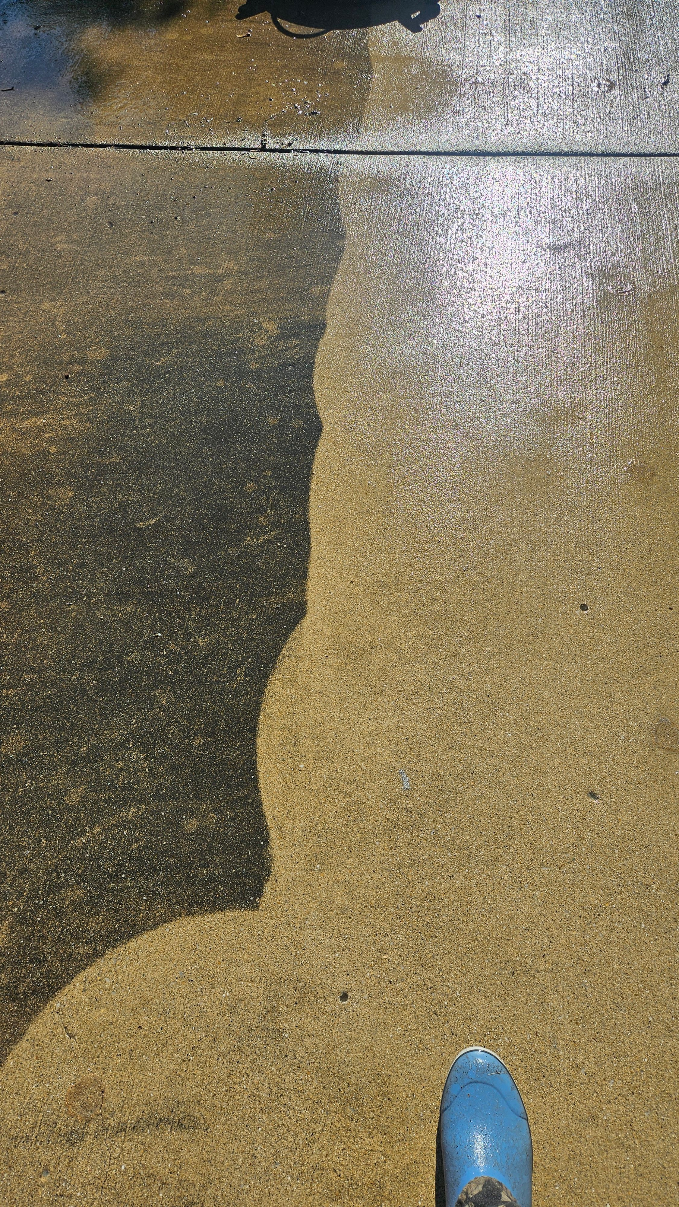 Project - Photo 6